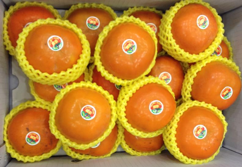 廣告行銷公關業,「設計是我們的商品，創意是我們的服務」協助您建構企業及品牌形象之視覺、產品設計、包裝設計、型錄設計、簡介設計、網頁設計&hellip;等視覺形象整合。